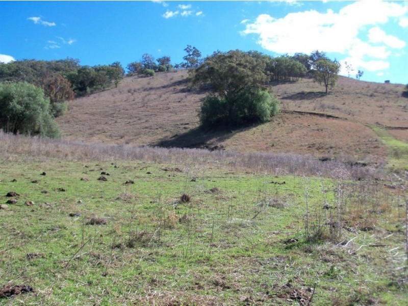 . ‘Sophia Park’, Scone NSW 2337