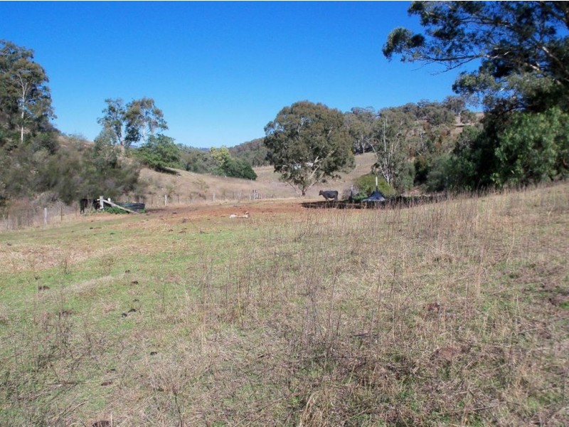 . ‘Sophia Park’, Scone NSW 2337