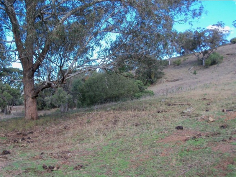 . ‘Sophia Park’, Scone NSW 2337