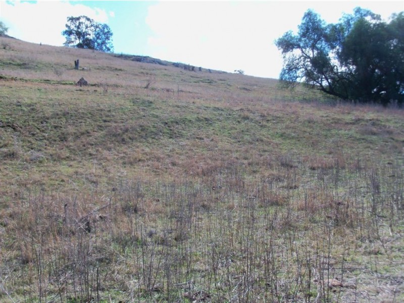 . ‘Sophia Park’, Scone NSW 2337