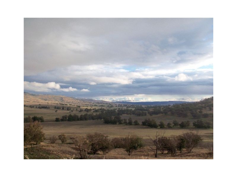 . ‘Mount Mill’, Coolah NSW 2843