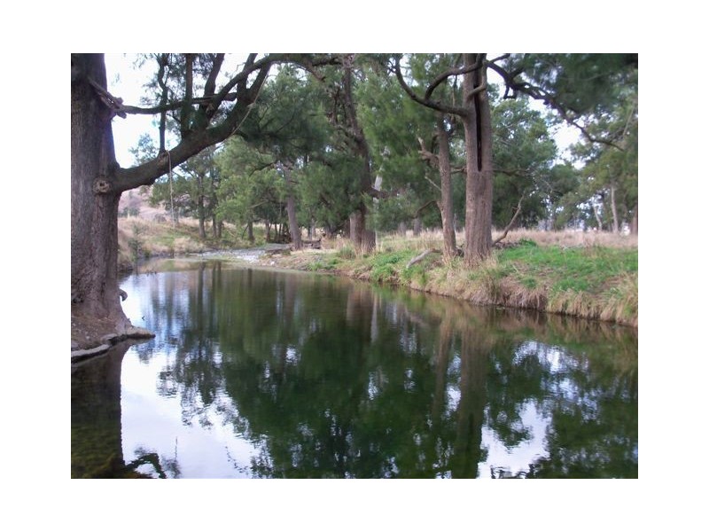 . ‘Mount Mill’, Coolah NSW 2843