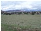 . ‘Mount Mill’, Coolah NSW 2843