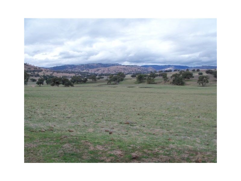 . ‘Mount Mill’, Coolah NSW 2843