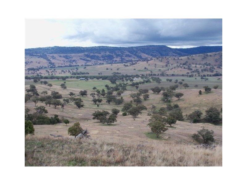 . ‘Mount Mill’, Coolah NSW 2843