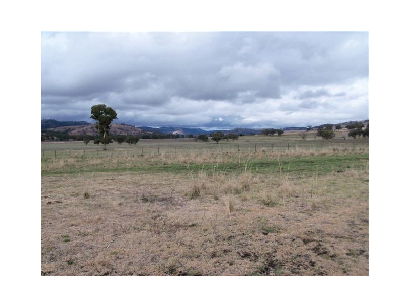 . ‘Mount Mill’, Coolah NSW 2843