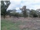 . ‘Mount Mill’, Coolah NSW 2843