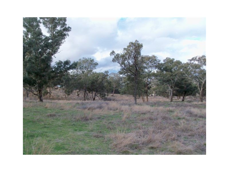 . ‘Mount Mill’, Coolah NSW 2843