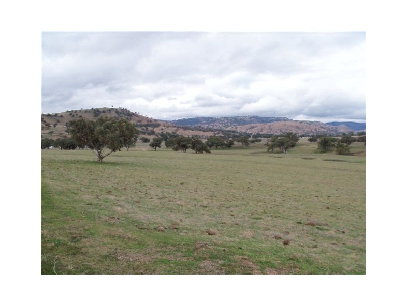 . ‘Mount Mill’, Coolah NSW 2843