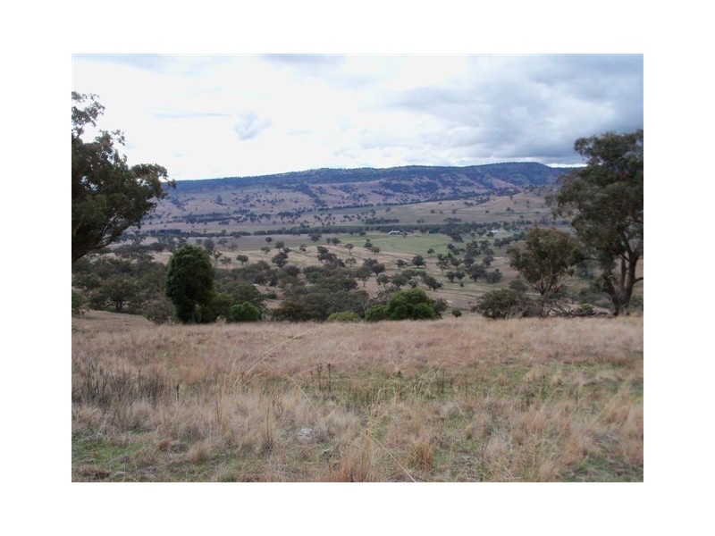 . ‘Mount Mill’, Coolah NSW 2843