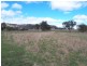 . ‘Mount Mill’, Coolah NSW 2843