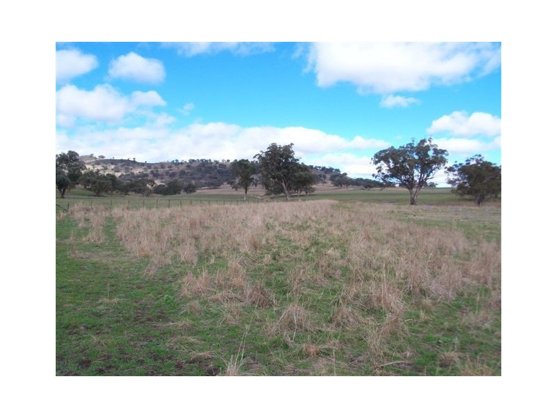 . ‘Mount Mill’, Coolah NSW 2843