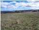 . ‘Mount Mill’, Coolah NSW 2843