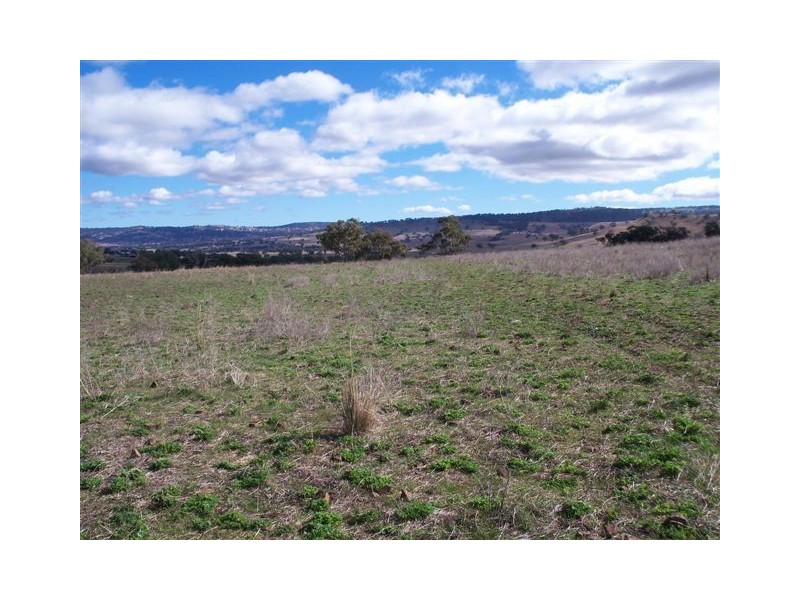 . ‘Mount Mill’, Coolah NSW 2843