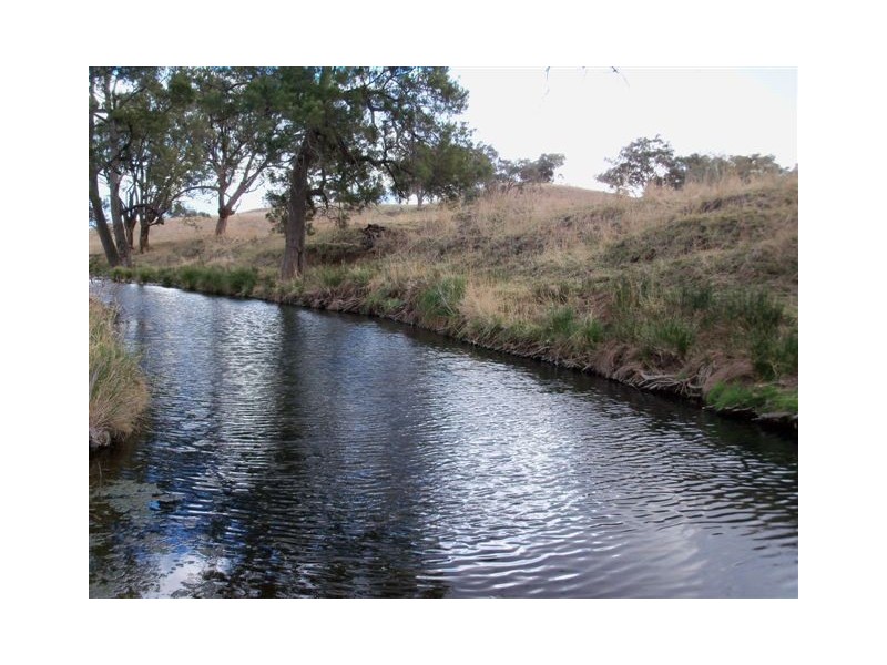 . ‘Mount Mill’, Coolah NSW 2843