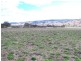 . ‘Mount Mill’, Coolah NSW 2843