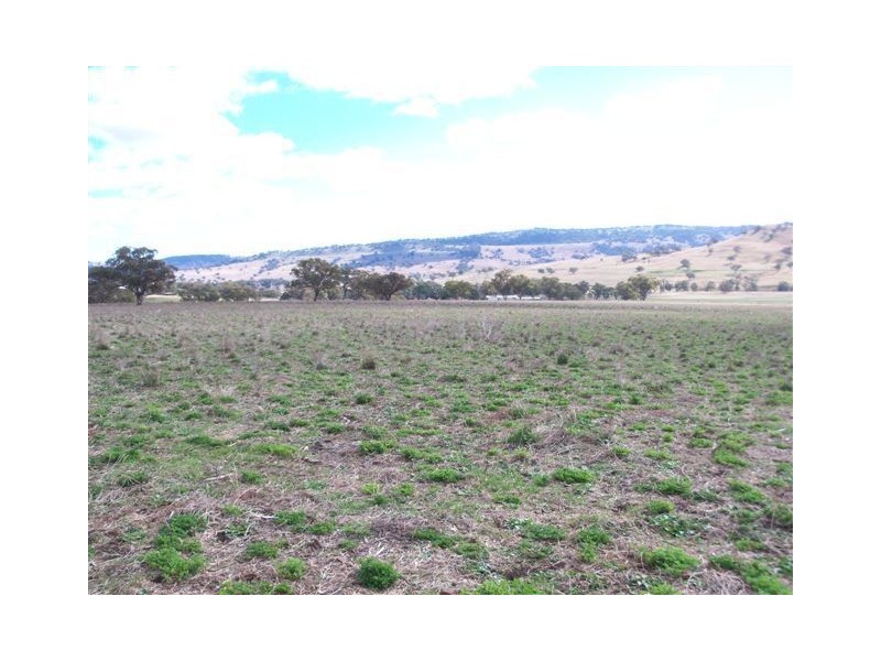 . ‘Mount Mill’, Coolah NSW 2843