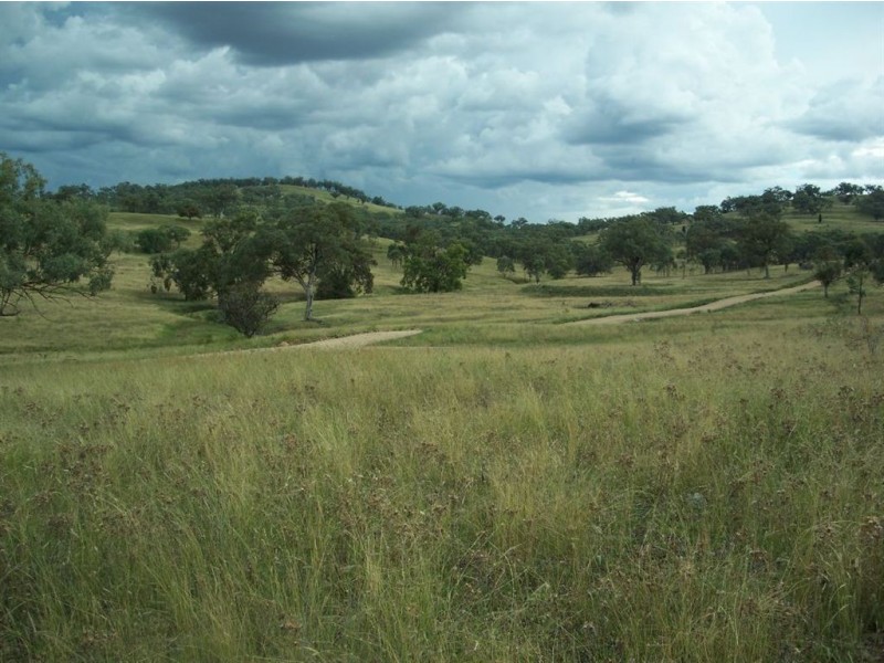 . ‘Warrah Park Estate’, Willow Tree NSW 2339