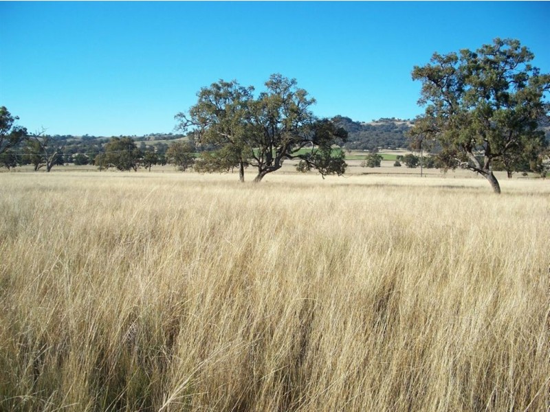 . ‘Warrah Park Estate’, Willow Tree NSW 2339