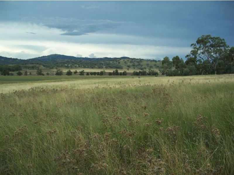 . ‘Warrah Park Estate’, Willow Tree NSW 2339