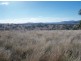 . ‘Warrah Park Estate’, Willow Tree NSW 2339