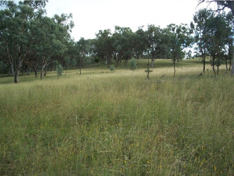 . ‘Warrah Park Estate’, Willow Tree NSW 2339