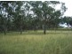 . ‘Warrah Park Estate’, Willow Tree NSW 2339