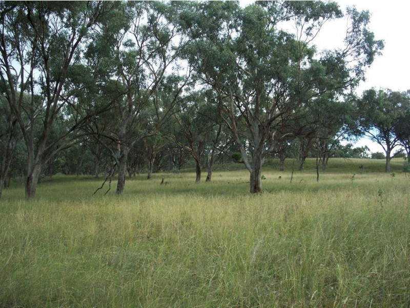 . ‘Warrah Park Estate’, Willow Tree NSW 2339