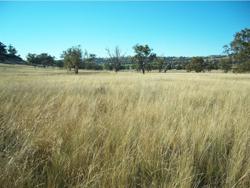 . ‘Warrah Park Estate’, Willow Tree NSW 2339