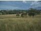 . ‘Warrah Park Estate’, Willow Tree NSW 2339
