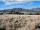 . ‘Warrah Park Estate’, Willow Tree NSW 2339