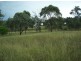 . ‘Warrah Park Estate’, Willow Tree NSW 2339
