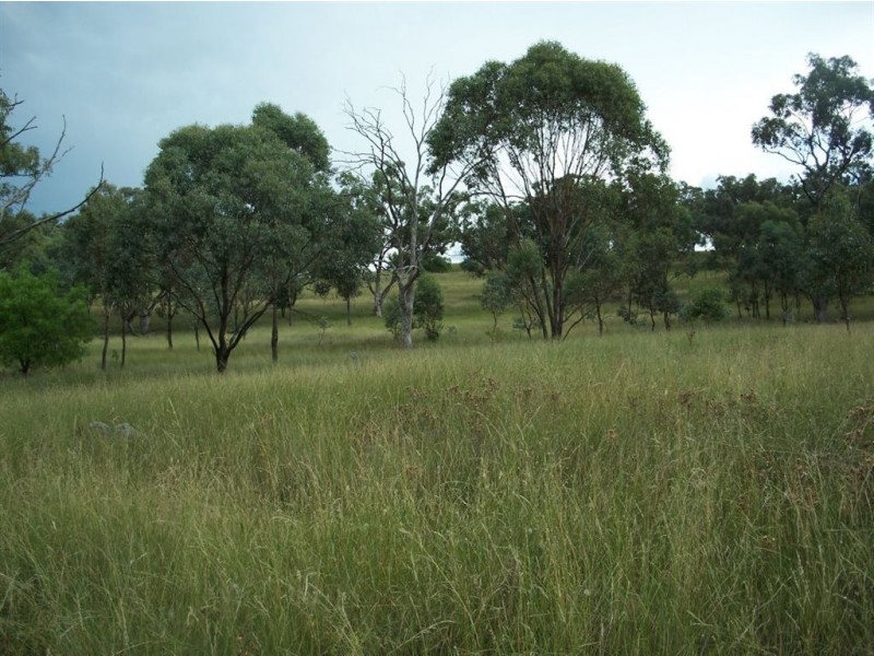 . ‘Warrah Park Estate’, Willow Tree NSW 2339