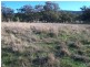 . ‘Yarrafield’, Scone NSW 2337