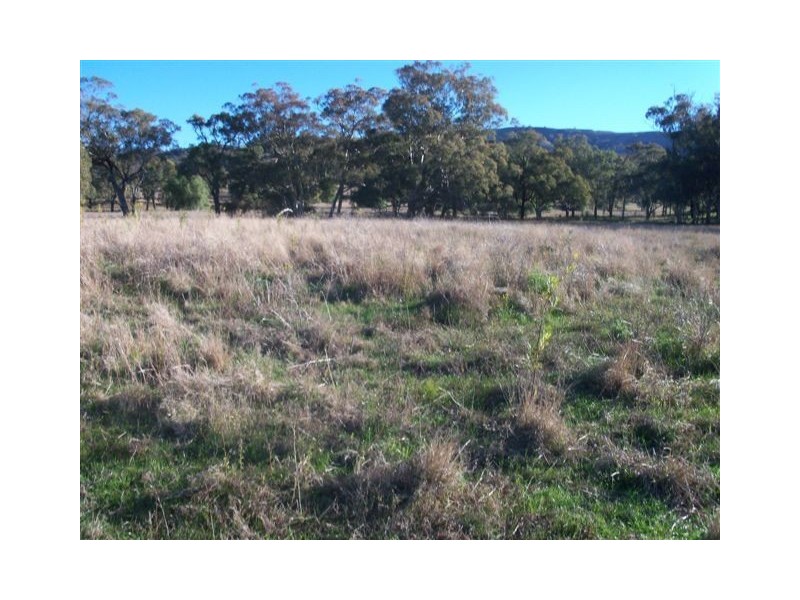 . ‘Yarrafield’, Scone NSW 2337
