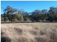 . ‘Yarrafield’, Scone NSW 2337