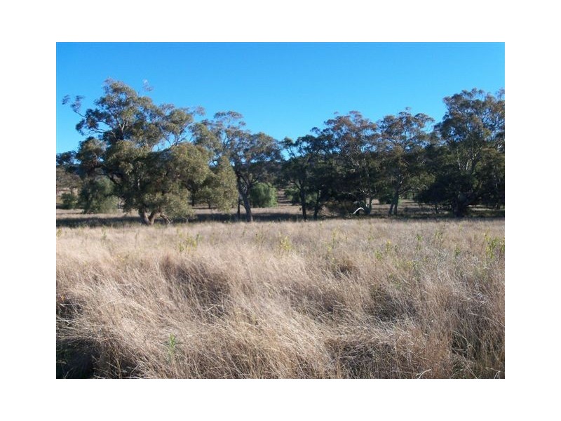 . ‘Yarrafield’, Scone NSW 2337