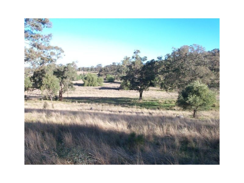. ‘Yarrafield’, Scone NSW 2337