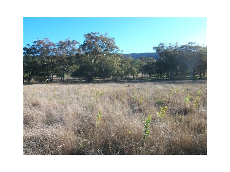 . ‘Yarrafield’, Scone NSW 2337