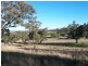 . ‘Yarrafield’, Scone NSW 2337