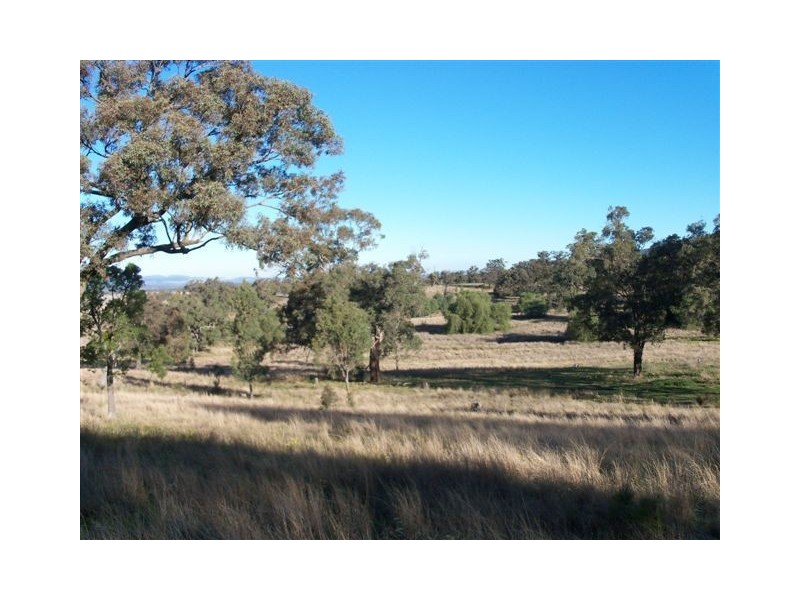 . ‘Yarrafield’, Scone NSW 2337