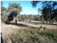 . ‘Yarrafield’, Scone NSW 2337
