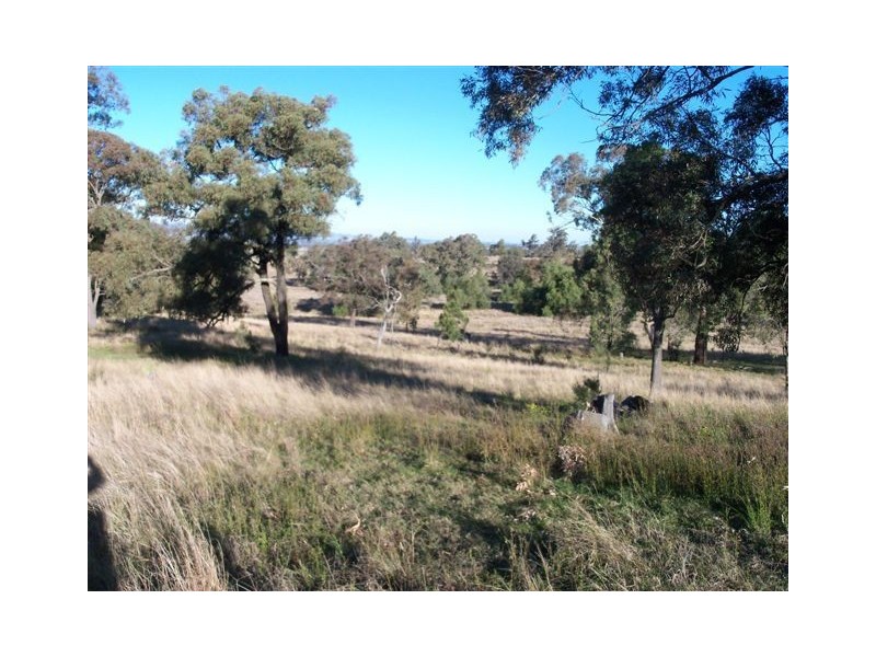 . ‘Yarrafield’, Scone NSW 2337