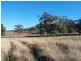 . ‘Yarrafield’, Scone NSW 2337