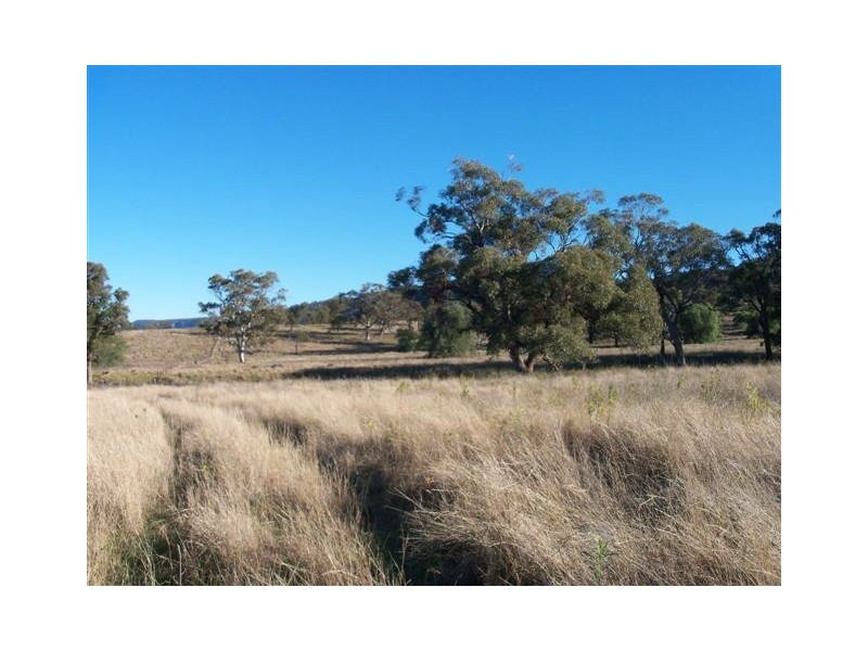 . ‘Yarrafield’, Scone NSW 2337