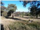 . ‘Yarrafield’, Scone NSW 2337