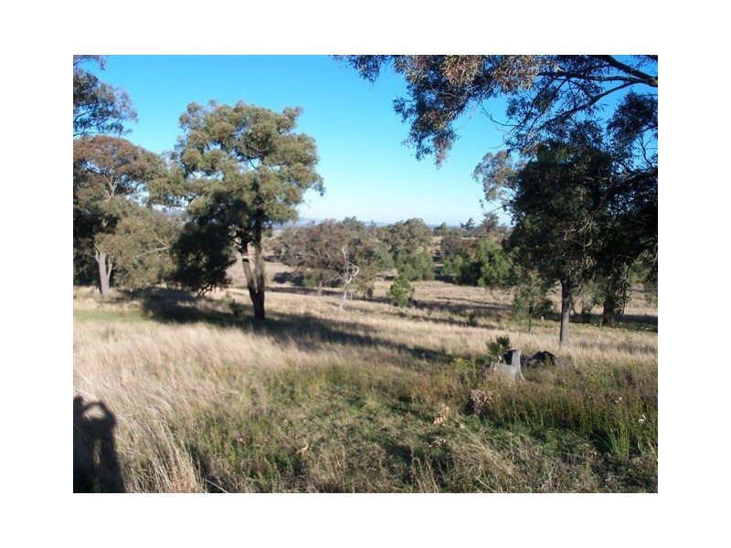 . ‘Yarrafield’, Scone NSW 2337