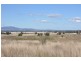 31 Moobi Road, Scone NSW 2337