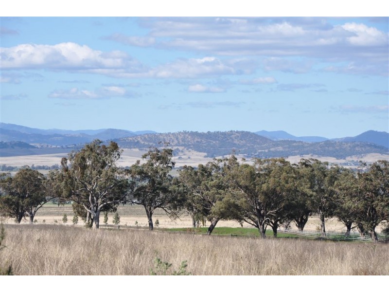 31 Moobi Road, Scone NSW 2337