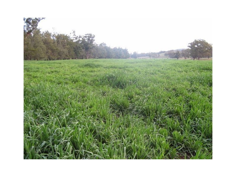 . ‘Kruivale’, Merriwa NSW 2329